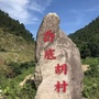 岙底胡村村民委员会ico