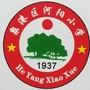 泉港区河阳小学ico