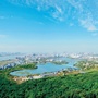 吉安市林业局ico