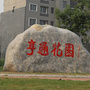 东蒲洼街亨通花园社区党总支ico
