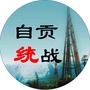 自贡统战ico