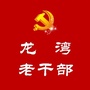 龙湾老干部ico