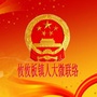 攸攸板镇人大微联络ico