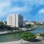 湛江赤坎发布ico