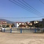 绿色田南ico