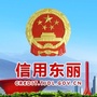 信用东丽ico