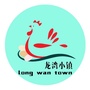 龙湾小镇ico