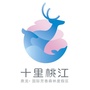 鼎龙十里桃江ico