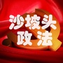 沙坡头政法ico