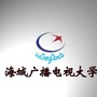 海城电大ico