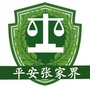 平安张家界ico