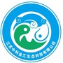 中科金汇ico