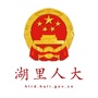 湖里人大ico
