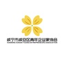 咸安区青年企业家协会ico
