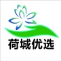 荷城优选公众号ico