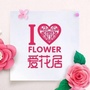 酒泉百花苑鲜花ico