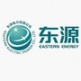 东源电网ico