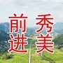 秀美前进ico