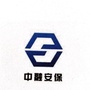 中融安保大邑分公司公众号ico