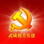 武威机关党建ico