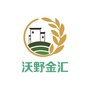沃野金汇ico