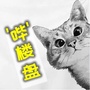 喵姐说房ico