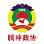 腾冲政协ico