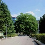 贵州省晴隆民族中学公众号ico