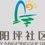 龙泉驿阳坪社区青年ico