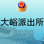 邯郸市公安局大峪派出所ico