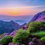 大连大黑山旅游ico