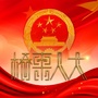 桥东人大ico