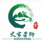 史家营党建ico