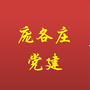 庞各庄党建ico