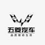 佛山顺德乐从分公司ico