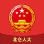 北仑人大ico