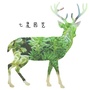七星园艺ico