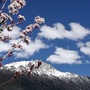 魅力松宗ico