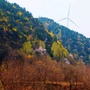 白泉旅游ico