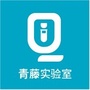 青藤实验室公众号ico