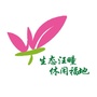 今日汪疃ico