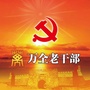 万全老干部ico