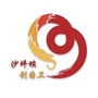 沙坪坝创国卫公众号ico