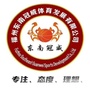 东南冠威ico