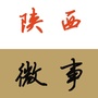 陕西微事ico