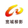 柳影先锋号ico