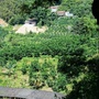 安厚镇大坑村ico