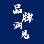 品牌洞见ico