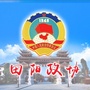 田阳政协ico