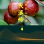 大溪岭ico